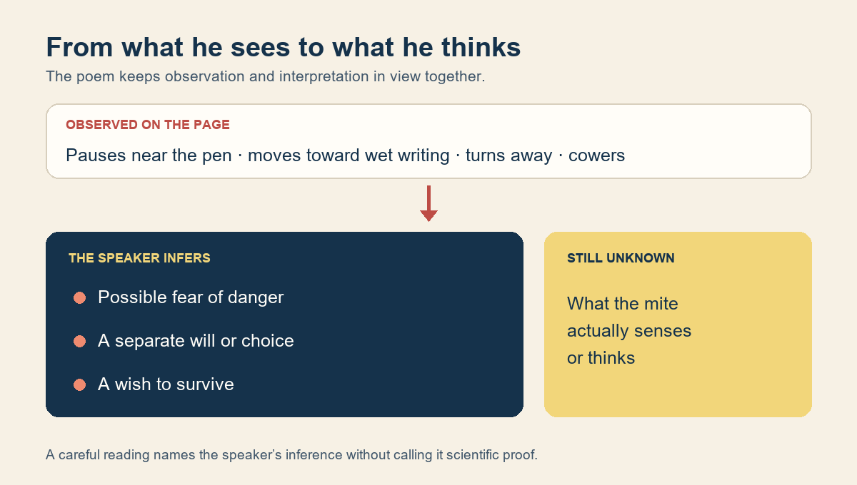 A Considerable Speck by Robert Frost: a diagram separates the mite’s visible movements from the speaker’s inferences about fear, choice and survival.